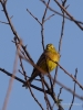 Filename=012_fotowilga~63.JPG
Filesize=238KB
Dimensions=525x700
Date added=Mar 12, 2019 012_fotowilga~63.JPG