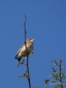 Filename=012_fotowilga~64.JPG
Filesize=179KB
Dimensions=525x700
Date added=Apr 05, 2019 012_fotowilga~64.JPG