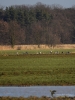 Filename=012_fotowilga~65.JPG
Filesize=306KB
Dimensions=525x700
Date added=Apr 16, 2019 012_fotowilga~65.JPG