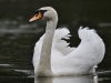 Filename=012_fotowilga~70.JPG
Filesize=216KB
Dimensions=700x525
Date added=Oct 16, 2019 012_fotowilga~70.JPG