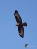 Filename=0132_fotowilga~60.JPG
Filesize=220KB
Dimensions=525x700
Date added=Jul 10, 2019 0132_fotowilga~60.JPG