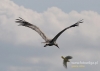 Filename=013_fotowilga~19.JPG
Filesize=67KB
Dimensions=640x457
Date added=Sep 23, 2015 013_fotowilga~19.JPG