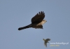 Filename=013_fotowilga~21.JPG
Filesize=48KB
Dimensions=640x452
Date added=Nov 02, 2015 013_fotowilga~21.JPG