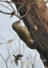 Filename=013_fotowilga~23.JPG
Filesize=77KB
Dimensions=339x480
Date added=Nov 07, 2015 013_fotowilga~23.JPG