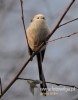 Filename=013_fotowilga~25.JPG
Filesize=66KB
Dimensions=377x480
Date added=Jan 07, 2016 013_fotowilga~25.JPG