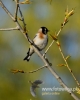 Filename=013_fotowilga~32.JPG
Filesize=53KB
Dimensions=384x480
Date added=May 23, 2016 013_fotowilga~32.JPG