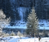 Filename=013_fotowilga~58.JPG
Filesize=488KB
Dimensions=700x603
Date added=Feb 27, 2018 013_fotowilga~58.JPG