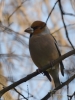 Filename=013_fotowilga~59.JPG
Filesize=233KB
Dimensions=525x700
Date added=Mar 31, 2018 013_fotowilga~59.JPG