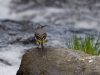 Filename=013_fotowilga~60.JPG
Filesize=263KB
Dimensions=700x525
Date added=May 07, 2018 013_fotowilga~60.JPG