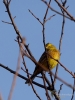 Filename=013_fotowilga~67.JPG
Filesize=271KB
Dimensions=525x700
Date added=Mar 18, 2019 013_fotowilga~67.JPG