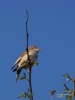 Filename=013_fotowilga~68.JPG
Filesize=191KB
Dimensions=525x700
Date added=Apr 05, 2019 013_fotowilga~68.JPG