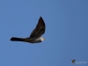 Filename=0141_fotowilga~51.JPG
Filesize=185KB
Dimensions=700x525
Date added=Oct 26, 2018 0141_fotowilga~51.JPG