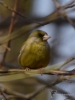 Filename=0142_fotowilga~58.JPG
Filesize=225KB
Dimensions=525x700
Date added=Mar 04, 2018 0142_fotowilga~58.JPG