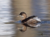 Filename=0143_fotowilga~55.JPG
Filesize=264KB
Dimensions=700x525
Date added=Feb 17, 2019 0143_fotowilga~55.JPG