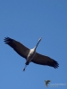 Filename=0144_fotowilga.JPG
Filesize=200KB
Dimensions=525x700
Date added=Feb 04, 2019 0144_fotowilga.JPG