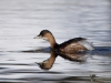 Filename=0144_fotowilga~60.JPG
Filesize=248KB
Dimensions=700x525
Date added=Feb 17, 2019 0144_fotowilga~60.JPG