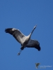 Filename=0145_fotowilga.JPG
Filesize=200KB
Dimensions=525x700
Date added=Feb 04, 2019 0145_fotowilga.JPG