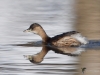 Filename=0146_fotowilga~52.JPG
Filesize=247KB
Dimensions=700x525
Date added=Feb 17, 2019 0146_fotowilga~52.JPG