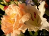 Filename=0148_fotowilga~48.JPG
Filesize=280KB
Dimensions=700x525
Date added=Aug 26, 2018 0148_fotowilga~48.JPG