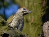 Filename=0149_fotowilga.JPG
Filesize=294KB
Dimensions=700x525
Date added=Jul 04, 2019 0149_fotowilga.JPG