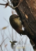 Filename=014_fotowilga~13.JPG
Filesize=75KB
Dimensions=339x480
Date added=Jan 07, 2016 014_fotowilga~13.JPG