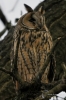 Filename=014_fotowilga~33.JPG
Filesize=266KB
Dimensions=466x700
Date added=Jun 04, 2017 014_fotowilga~33.JPG