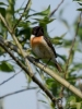 Filename=014_fotowilga~43.JPG
Filesize=233KB
Dimensions=525x700
Date added=Feb 14, 2018 014_fotowilga~43.JPG