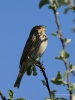 Filename=014_fotowilga~48.JPG
Filesize=227KB
Dimensions=525x700
Date added=Apr 27, 2018 014_fotowilga~48.JPG
