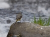 Filename=014_fotowilga~49.JPG
Filesize=259KB
Dimensions=700x525
Date added=May 07, 2018 014_fotowilga~49.JPG