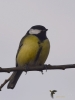 Filename=014_fotowilga~52.JPG
Filesize=154KB
Dimensions=525x700
Date added=Jan 22, 2019 014_fotowilga~52.JPG