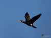 Filename=014_fotowilga~53.JPG
Filesize=204KB
Dimensions=700x525
Date added=Feb 10, 2019 014_fotowilga~53.JPG