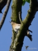 Filename=014_fotowilga~54.JPG
Filesize=244KB
Dimensions=525x700
Date added=Feb 25, 2019 014_fotowilga~54.JPG