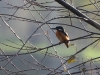Filename=014_fotowilga~60.JPG
Filesize=322KB
Dimensions=700x525
Date added=Nov 06, 2019 014_fotowilga~60.JPG