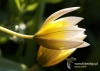 Filename=014_fotowilga~7.JPG
Filesize=96KB
Dimensions=720x514
Date added=May 05, 2014 014_fotowilga~7.JPG