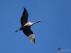 Filename=0150_fotowilga~47.JPG
Filesize=195KB
Dimensions=700x525
Date added=Jan 27, 2019 0150_fotowilga~47.JPG