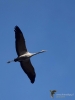 Filename=0151_fotowilga~45.JPG
Filesize=187KB
Dimensions=525x700
Date added=Feb 02, 2019 0151_fotowilga~45.JPG