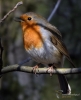 Filename=0153_fotowilga~0.JPG
Filesize=281KB
Dimensions=567x700
Date added=Jun 13, 2021 0153_fotowilga~0.JPG