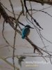 Filename=015_fotowilga~35.JPG
Filesize=55KB
Dimensions=360x480
Date added=Dec 15, 2016 015_fotowilga~35.JPG