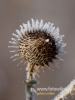 Filename=015_fotowilga~48.JPG
Filesize=53KB
Dimensions=360x480
Date added=Sep 18, 2017 015_fotowilga~48.JPG