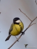 Filename=015_fotowilga~60.JPG
Filesize=182KB
Dimensions=525x700
Date added=Jan 05, 2019 015_fotowilga~60.JPG