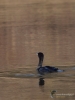 Filename=015_fotowilga~63.JPG
Filesize=234KB
Dimensions=525x700
Date added=Mar 12, 2019 015_fotowilga~63.JPG