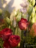 Filename=0162_fotowilga~7.JPG
Filesize=272KB
Dimensions=525x700
Date added=Oct 02, 2022 0162_fotowilga~7.JPG