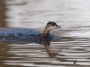 Filename=0165_fotowilga~47.JPG
Filesize=261KB
Dimensions=700x525
Date added=Feb 16, 2019 0165_fotowilga~47.JPG