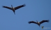 Filename=0166_fotowilga~5.JPG
Filesize=143KB
Dimensions=700x424
Date added=Mar 22, 2022 0166_fotowilga~5.JPG