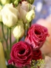 Filename=0166_fotowilga~50.JPG
Filesize=243KB
Dimensions=525x700
Date added=Aug 30, 2018 0166_fotowilga~50.JPG