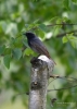 Filename=0168_fotowilga.JPG
Filesize=253KB
Dimensions=499x700
Date added=Feb 03, 2019 0168_fotowilga.JPG