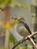 Filename=0168_fotowilga~64.JPG
Filesize=258KB
Dimensions=525x700
Date added=Oct 29, 2019 0168_fotowilga~64.JPG