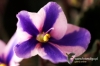 Filename=016_fotowilga.JPG
Filesize=105KB
Dimensions=720x480
Date added=Oct 20, 2012 016_fotowilga.JPG