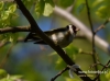 Filename=016_fotowilga~23.JPG
Filesize=70KB
Dimensions=640x475
Date added=May 11, 2016 016_fotowilga~23.JPG