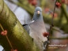 Filename=016_fotowilga~33.JPG
Filesize=76KB
Dimensions=640x480
Date added=Mar 20, 2017 016_fotowilga~33.JPG